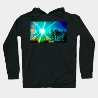 Winter sun shining bright Hoodie